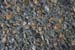 Roesner Gray something
