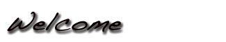 Welcome to Trowel Trades, LLC.